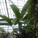 ���� ������, ������ - ��������� 11 ������ 2016 � ������ ������������� ���