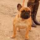 �����, �� �� ���. �� ������� ���� ��������