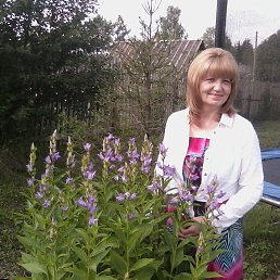 ���� �@��@, �����-��������� - ��������� 7 ���� 2016