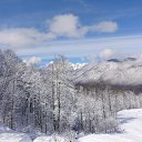 ���� ��������, ������, 48 ��� - ��������� 29 ����� 2016 � ������ ���� ����������