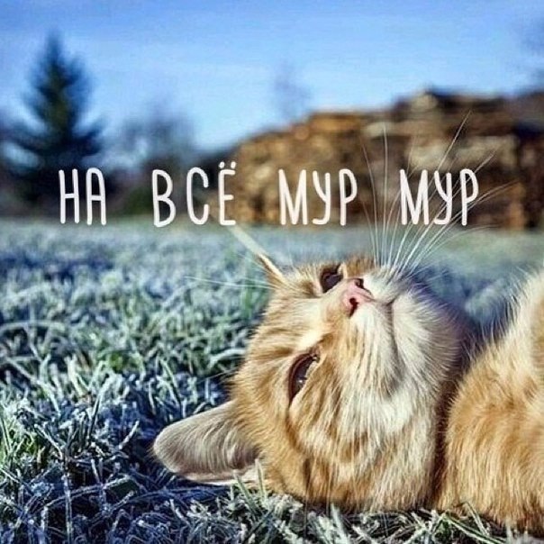 - - 5