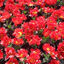  , , 60  -  5  2016     ,03.04.16.