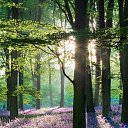 ���� �����-�, ����� - ��������� 24 ���� 2016 � ������ ������ ��������