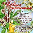 ���� ���������, �������� - ��������� 24 ������ 2016 � ������ ������ ��������