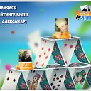 ���� �������, �����������, 65 ��� - ��������� 8 �������� 2016 � ������ �������� �������-�������