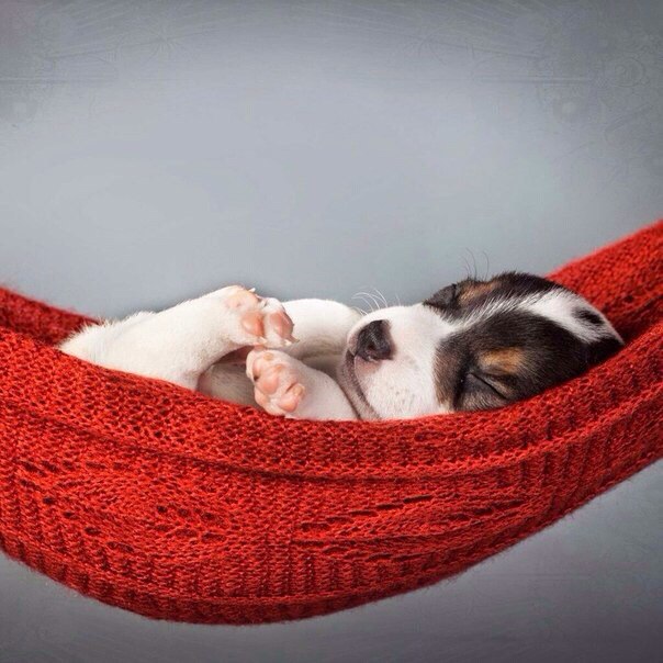 ***.- ,     .        , , .... - 5