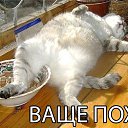 ���� ����, ������, 48 ��� - ��������� 31 ������� 2016