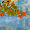 ���� �����, ���������, 41 ��� - ��������� 6 �������� 2016 � ������ ���� ����������