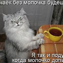  ,  , 63  -  12  2016    