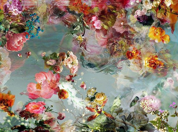  /Storm of flowers by Isabelle Menin