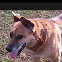 ���� Renat, ������, 100 ��� - ��������� 20 ������ 2016