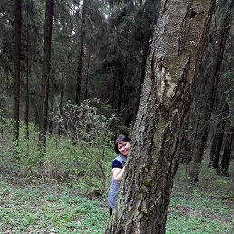 �������� �������, ������, 48 ���