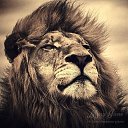 ���� ������, �����-��������, 49 ��� - ��������� 26 ����� 2016 � ������ ������ ��������