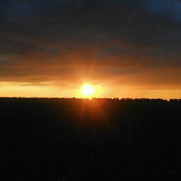 ���� ����, ������, 36 ��� - ��������� 1 ���� 2016