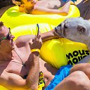 ���� Den, �����������, 37 ��� - ��������� 1 �������� 2016