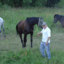 ���� ����, ������, 62 ���� - ��������� 16 ��� 2016 � ������ ����