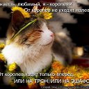  ,  -  11  2016    Ȼ