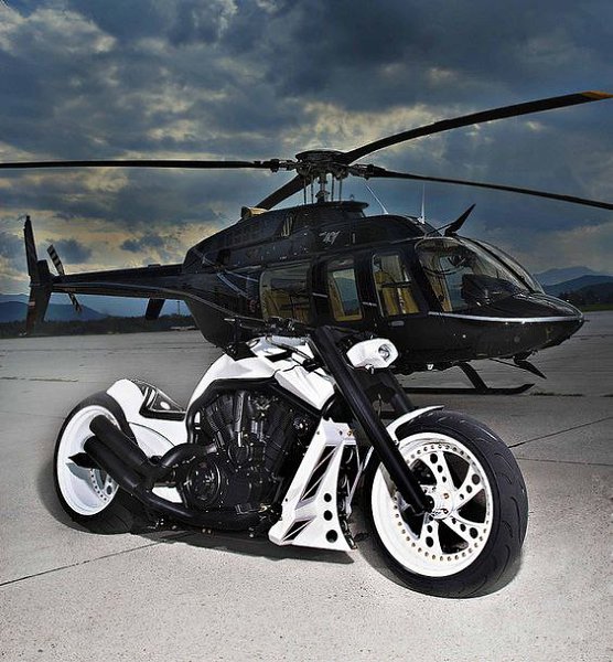   Gallardo V-Rod?