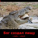 ���� �������, ������ - ��������� 21 ���� 2016 � ������ �������.�