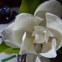  ,  -  14  2016     11-    6  ӻ