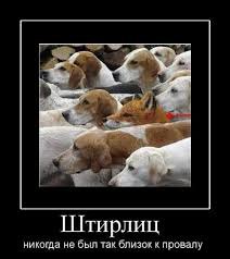 ***Victoria Viktorovna*** - 20  2016  12:19