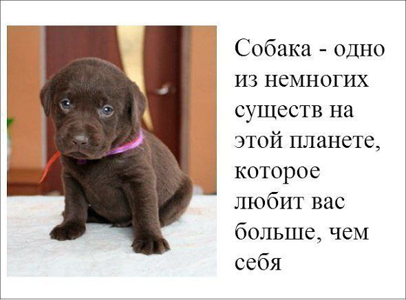 �����? ��, �� �������! - 9 ���� 2016 � 10:17