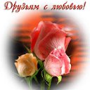 ���� ���������, ����������� - ��������� 10 ��� 2016 � ������ ������ ��������