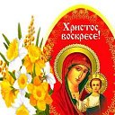 ���� ����, �����, 64 ���� - ��������� 1 ��� 2016 � ������ ������ ��������