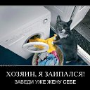 ���� �������, ������-��-����, 39 ��� - ��������� 12 ���� 2016 � ������ ���� ����������