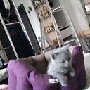 ���� �����, ������, 48 ��� - ��������� 11 ����� 2016 � ������ ���� ����������