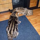   ))), , 57  -  27  2016     