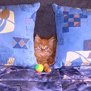 ���� Kienzle, ��������, 62 ���� - ��������� 1 �������� 2016 � ������ �Avataria�
