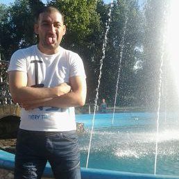 �����, ��������, 39 ���