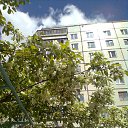 ����� 2016... �� ������� ���� ����������