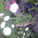 ���� ������, �����, 55 ��� - ��������� 6 ������� 2016 � ������ ���� ����������