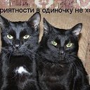 ���� Alekcandr, ������ - ��������� 20 ��� 2016 � ������ ���� ����������