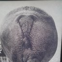 ������� �� ������� ���������� 2016�