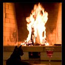 ���� �������, ������, 51 ��� - ��������� 23 ������� 2016 � ������ ������ ��������