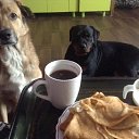 ���� �������, ����������, 58 ��� - ��������� 16 ��� 2016 � ������ ���� ������