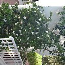 ���� I�na, ������ - ��������� 26 ���� 2016 � ������ ������