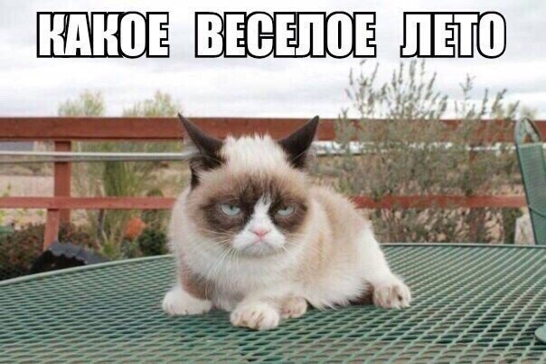  -  - 20  2016  18:25