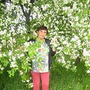 ���� �����, �����, 68 ��� - ��������� 29 ��� 2016 � ������ ���� ����������