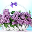 ���� ����, ������ - ��������� 9 �������� 2016 � ������ ������ ��������