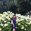 ���� �����, ������, 35 ��� - ��������� 28 ���� 2016 � ������ �� �� ������� ��������