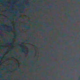 ������, ��������, 54 ����