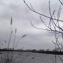 ���� ����, ���������, 41 ��� - ��������� 3 ������ 2016 � ������ ������� �����