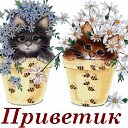  ,  -  11  2016    Ȼ