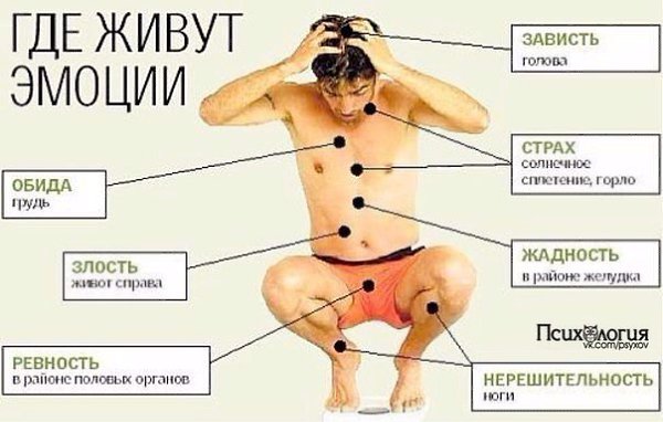 Психика + тело = психосоматика.Разбираемся детально в этой темеИногда наша болезнь несет нам то или ...