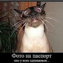 ���� �����, ����� - ��������� 18 ������ 2016 � ������ ������ ��������