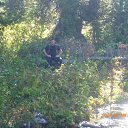 ���� ����, �����, 44 ���� - ��������� 25 ���� 2016 � ������ ���� ����������